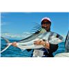 Image 3 : 3-Day Tower Boat Fishing Package for Two Anglers in Costa Rica - Includes Spa Credit