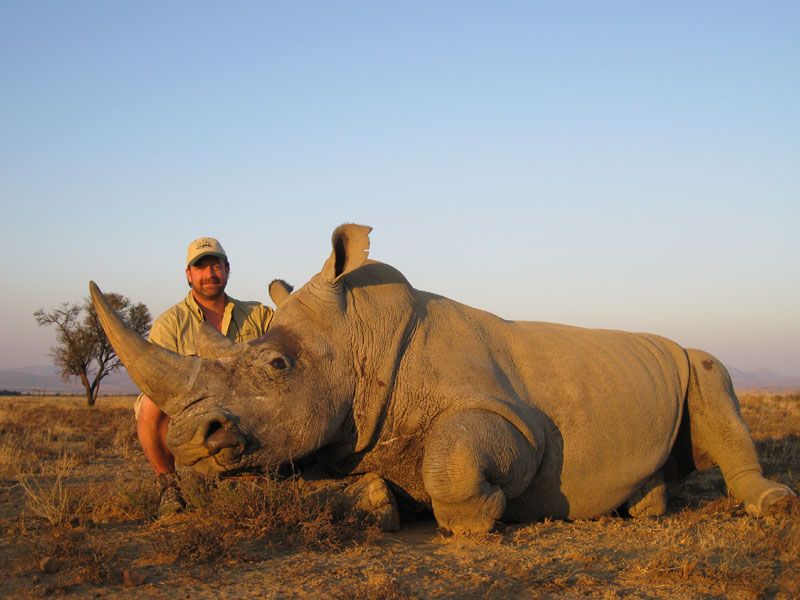 7 Day DARTED White Rhino Hunt For One Hunter And One Non Hunter In The 7-day-darted-white-rhino-hunt-for-one-hunter-and-one-non-hunter-in-the