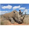 Image 2 : 7-Day DARTED White Rhino Hunt for One Hunter and One Non-Hunter in the Eastern Cape of South Africa
