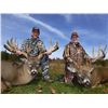 Image 2 : 5-Day Whitetail Hunt for Two Hunters in Wisconsin - Includes Trophy Fees