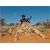 Image 3 : 7-Day Lioness Hunt for One Hunter and One Non-Hunter in South Africa - Includes Trophy Fee