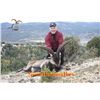 Image 1 : 9-Day Beceite Ibex Hunt for Three Hunters in Spain - Includes Trophy Fees