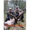 Image 2 : 9-Day Beceite Ibex Hunt for Three Hunters in Spain - Includes Trophy Fees