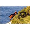 Image 1 : 4-Day Balearian Goat Hunt for One Hunter and One Non-Hunter - Includes Trophy Fee and VIP Sightseein