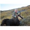 Image 3 : 7-Day/7-Night Big Game Hunt for One Hunter and One Non-Hunter in New Zealand - Includes Trophy Fees