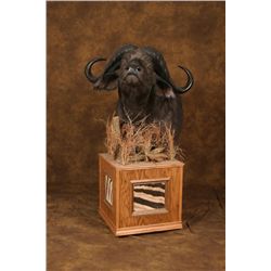 Custom Cape Buffalo Floor Pedestal