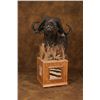 Image 1 : Custom Cape Buffalo Floor Pedestal
