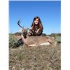 Image 1 : 2-Day Whitetail Deer Hunt for One Hunter and One Non-Hunter in Texas - Includes Trophy Fee and Taxid