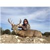 Image 2 : 2-Day Whitetail Deer Hunt for One Hunter and One Non-Hunter in Texas - Includes Trophy Fee and Taxid