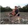 Image 4 : 2-Day Whitetail Deer Hunt for One Hunter and One Non-Hunter in Texas - Includes Trophy Fee and Taxid