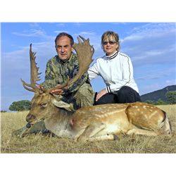 4-Day European Fallow Deer Hunt for Two Hunters in Spain - Includes Trophy Fees