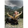 Image 2 : 4-Day European Fallow Deer Hunt for Two Hunters in Spain - Includes Trophy Fees