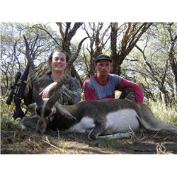 4-Day Blackbuck and Pampas Ram Hunt for Two Hunters in La Pampa, Argentina - Includes Trophy Fees