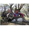 Image 1 : 4-Day Blackbuck and Pampas Ram Hunt for Two Hunters in La Pampa, Argentina - Includes Trophy Fees