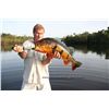Image 8 : DREAM ADVENTURE-2: 6-Day Fishing Trip for One Angler in Brazil Aboard the Blackwater Explorer Yacht