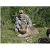 Image 8 : DREAM ADVENTURE-3: 7-Day Plains Game Hunt for One Hunter in South Africa
