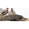 Image 4 : DREAM ADVENTURE-4: 4-Day Wild Boar, Dove and Pigeon Hunt for Two Hunters in Argentina