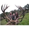 Image 1 : DREAM ADVENTURE-5: 5-Day Fallow Buck and Red Stag Hunt for Two Hunters in New Zealand