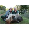 Image 4 : DREAM ADVENTURE-6: 5-Day Plains Game Hunt for One Hunter and One Non-Hunter in South Africa
