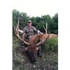 Image 3 : DREAM ADVENTURE-7: 4-Day Rocky Mountain Elk Hunt for One Hunter in Colorado – Includes Trophy Fee