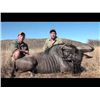 Image 2 : SPECIAL DREAM ADVENTURE-2: 10-Day Sable Bow Hunt for One Hunter and One Non-Hunter in South Africa –