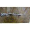 Image 1 : Cross Canyon Arms Remington .700  Action 300 Tejas