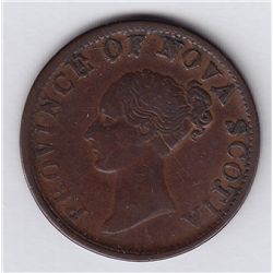 Courteau 290