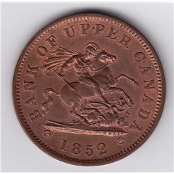 Courteau 250