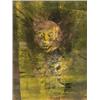 Image 1 : Gyémánt László (Budapest, 1935 - ), "Mondgesichte 1965"