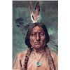 Image 1 : Sitting Bull by Gilbert Gaul (original 1890 print)