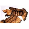 Image 9 : Eagle Chainsaw Sculpture