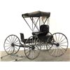 Image 12 : Covered Doctor's Buggy
