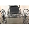 Image 13 : Covered Doctor's Buggy