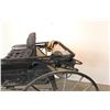 Image 15 : Covered Doctor's Buggy
