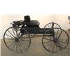 Image 18 : Covered Doctor's Buggy