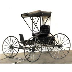 Covered Doctor's Buggy