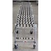 Image 2 : Nestaflex 226 Expandable Skatewheel Conveyor