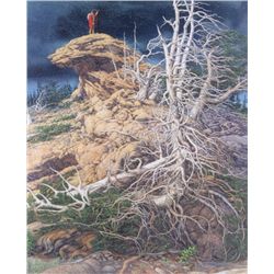 Framed Bev Doolittle Print