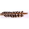 Image 5 : Native American Arrows
