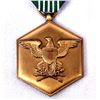 Image 2 : Meritorious Service and Bronze Star Medals