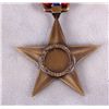 Image 7 : Meritorious Service and Bronze Star Medals