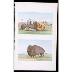 1876 Native American Illustration by G. Catlin Thi