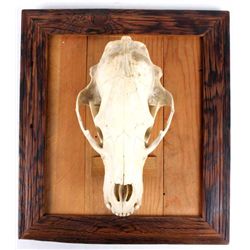 Montana Bear Skull on Rustic Barn Wood Frame The l