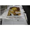 Image 2 : LOT OF FOLDED ONE SHEETS INCL. CAPT. KRONOS, OUTLAND, TRON (X2), MARTIN, GALAXINA,