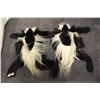 Image 1 : 2 RARE BLACK AND WHITE KALOBOUSE MONKEY SKIN RUGS