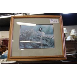 LIMITED EDITION  FRAMED PRINT 'CANADIAN GOOSE' 728/1500