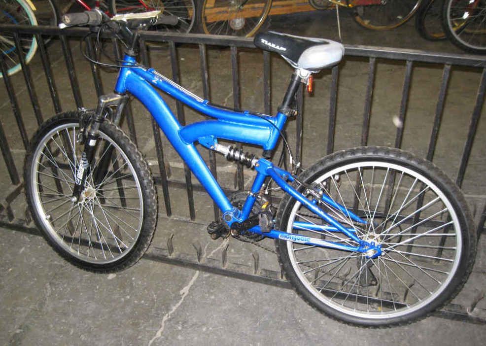 Blue Mongoose Mt. Bike