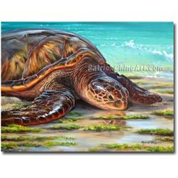 Honu Mana'o - KAI Show, Patrick Ching 2014