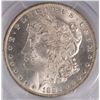Image 2 : 1885-O MORGAN SILVER DOLLAR, PCGS MS-64+  WHITE