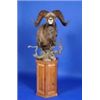 Image 2 : PEDESTAL SHOULDER SHEEP FLOOR MOUNT